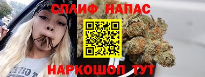 шишки Сланцы