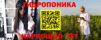 шишки Сланцы