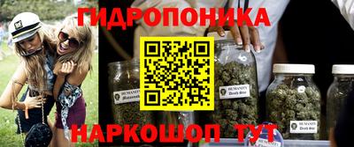 шишки Сланцы