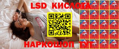 шишки Сланцы
